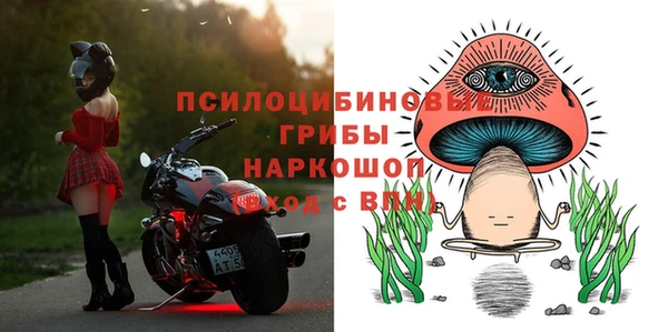 прущая мука Новодвинск