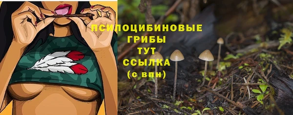 соль ск Нягань