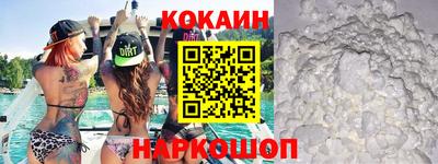 сатива Кингисепп