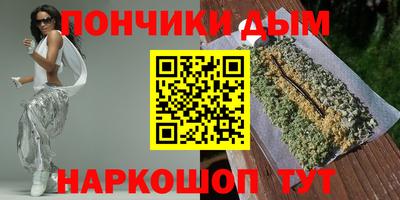 сатива Кингисепп