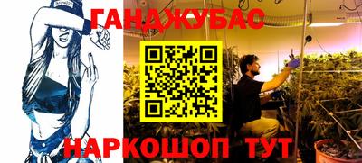 сатива Кингисепп