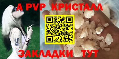 шишки Кимры