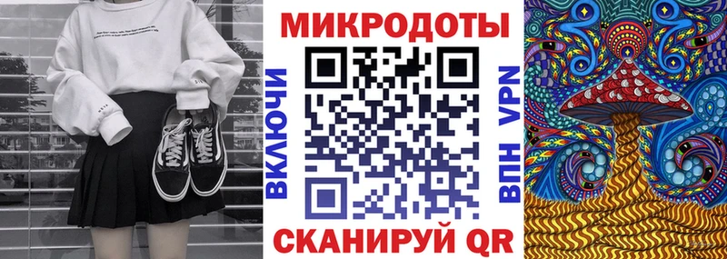 Псилоцибиновые грибы Psilocybe  где купить наркоту  Мурино 
