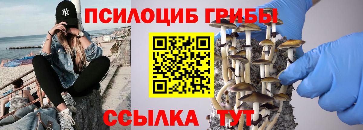 Мурино  Галлюциногенные грибы GOLDEN TEACHER  Вход с VPN  Псилоцибиновые грибы мухоморы 