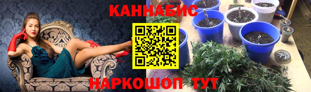 МАРИХУАНА VHQ  Конопля AK-47  Бошки Шишки MAZAR  Шишки марихуана ГИДРОПОН  Мурино 